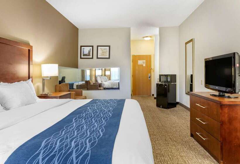 ホテル Comfort Inn Downtown  University Area