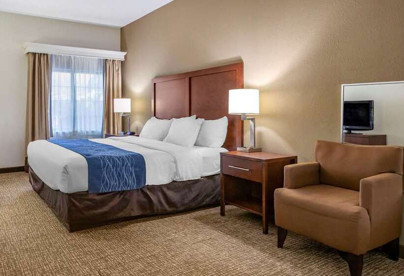 ホテル Comfort Inn Downtown  University Area