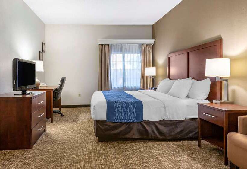 هتل Comfort Inn Downtown  University Area