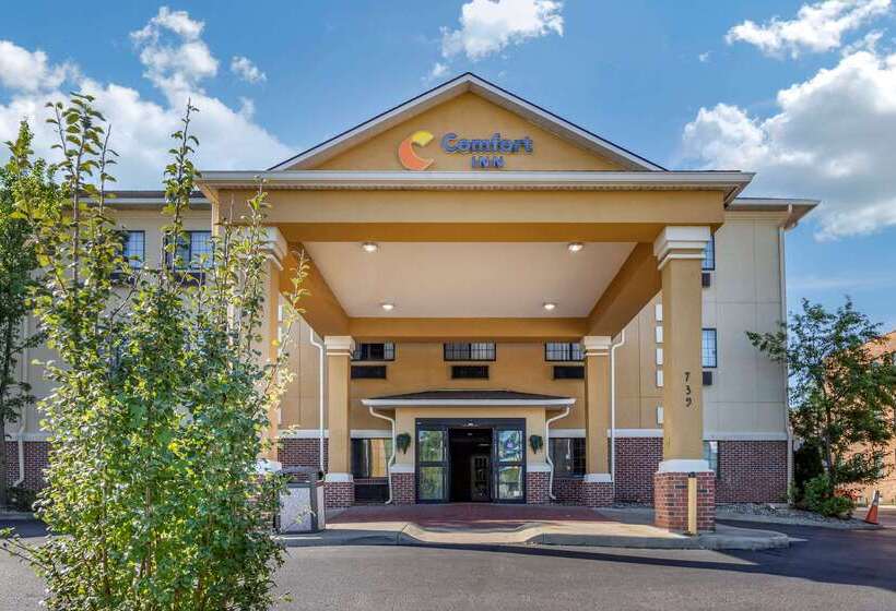 ホテル Comfort Inn Downtown  University Area