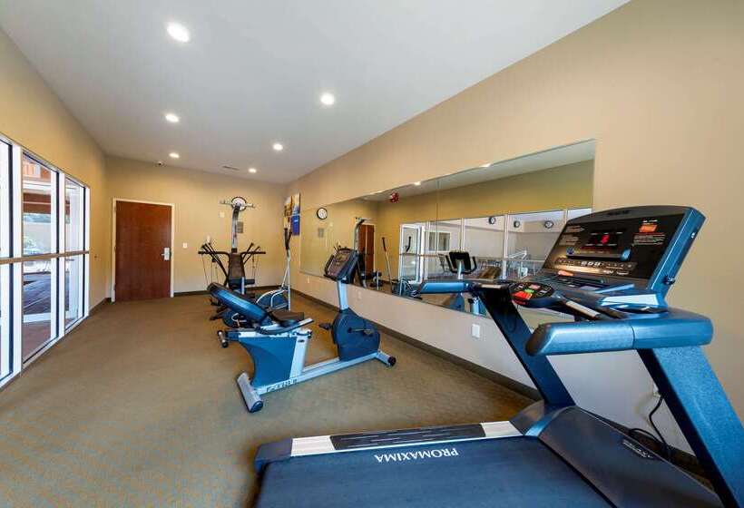 호텔 Comfort Inn Near University