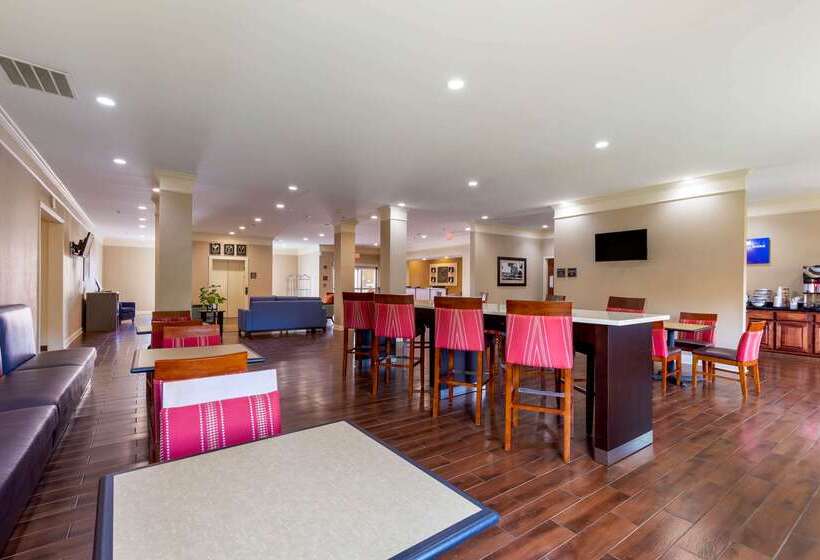 호텔 Comfort Inn Near University