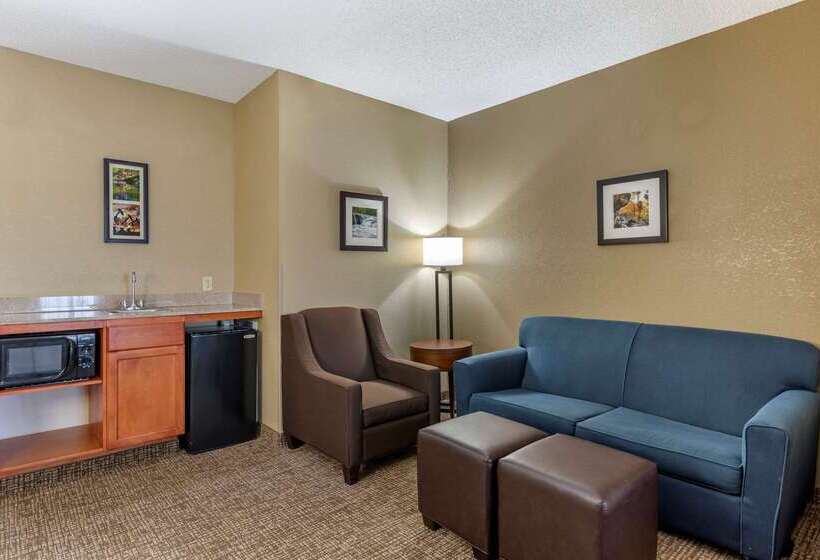 هتل Comfort Inn & Suites El Dorado