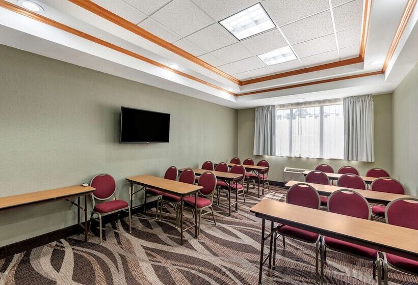 هتل Comfort Inn & Suites El Dorado