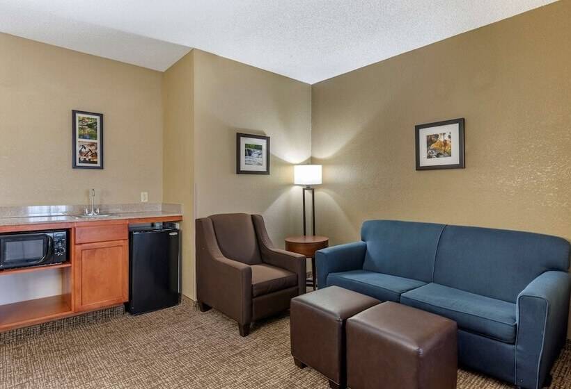 هتل Comfort Inn & Suites El Dorado