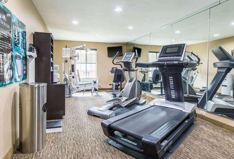 בית מלון כפרי Comfort Inn & Suites Greenwood Near University