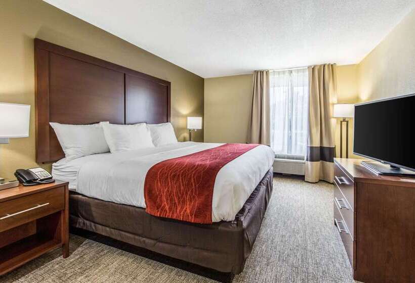בית מלון כפרי Comfort Inn & Suites Greenwood Near University