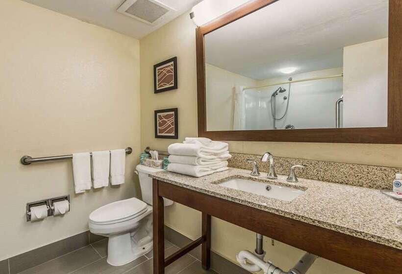 فندق Comfort Inn & Suites Greenwood Near University