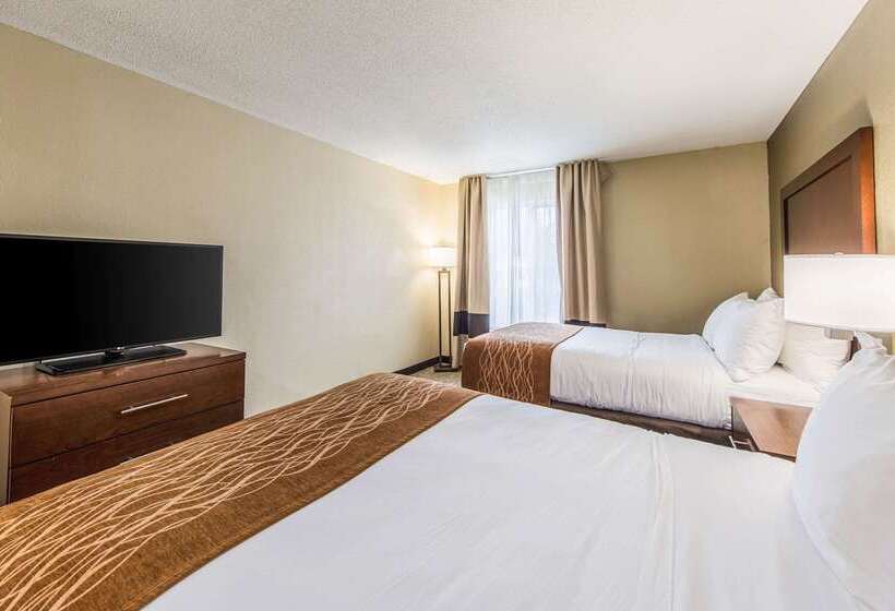 בית מלון כפרי Comfort Inn & Suites Greenwood Near University