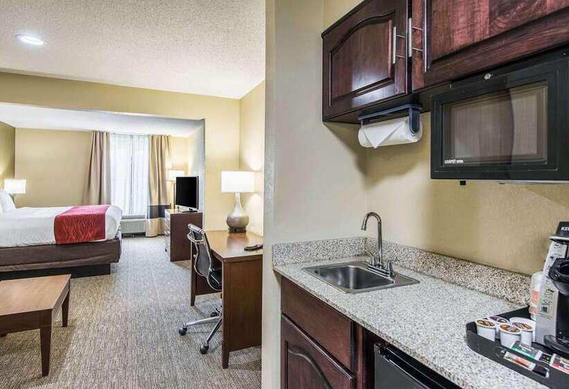 בית מלון כפרי Comfort Inn & Suites Greenwood Near University