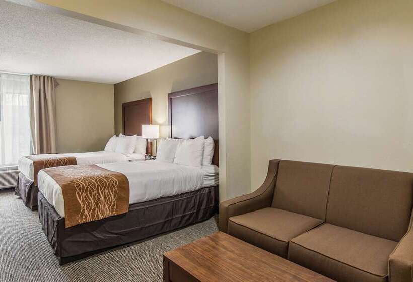 בית מלון כפרי Comfort Inn & Suites Greenwood Near University