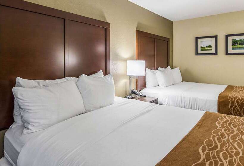 בית מלון כפרי Comfort Inn & Suites Greenwood Near University