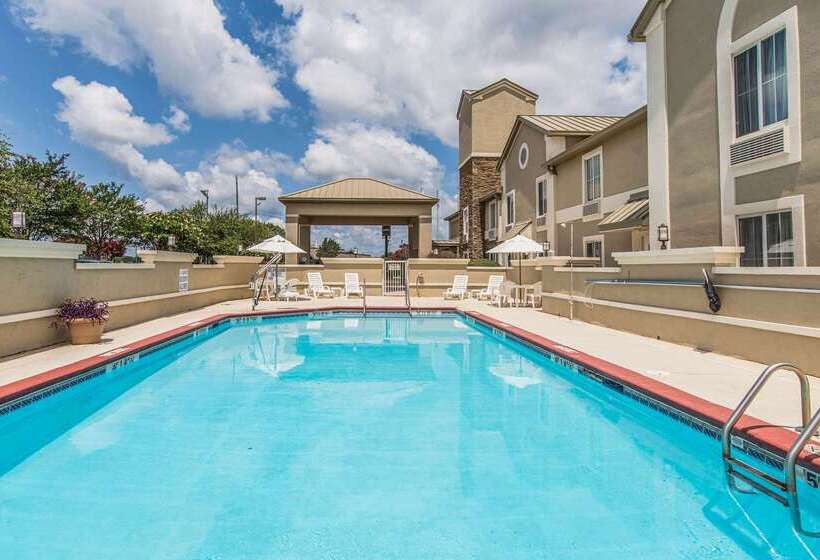 בית מלון כפרי Comfort Inn & Suites Greenwood Near University