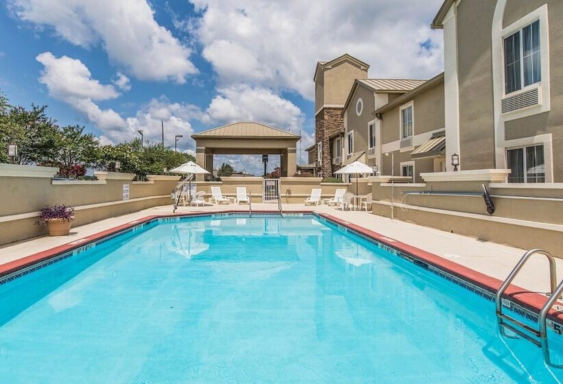 בית מלון כפרי Comfort Inn & Suites Greenwood Near University