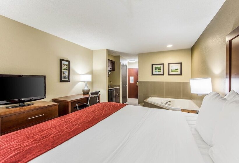 בית מלון כפרי Comfort Inn & Suites Greenwood Near University