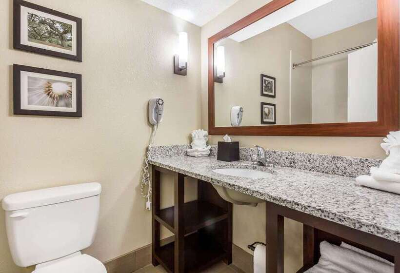 ホテル Comfort Suites At The University