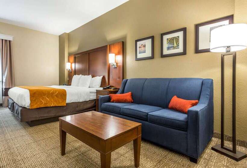 ホテル Comfort Suites At The University