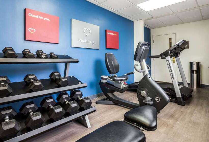 ホテル Comfort Suites At The University