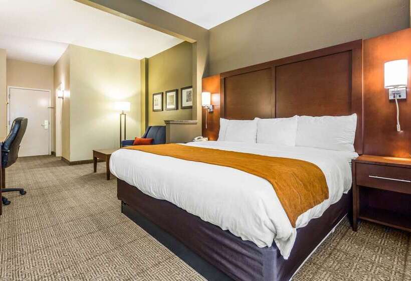 ホテル Comfort Suites At The University