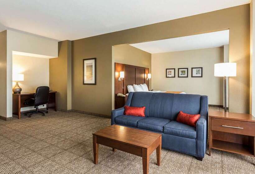 ホテル Comfort Suites At The University