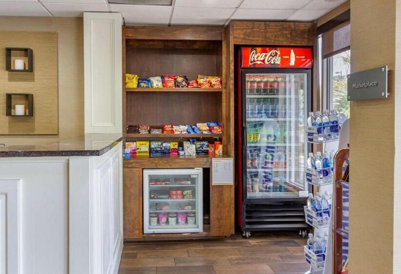 ホテル Comfort Suites At The University