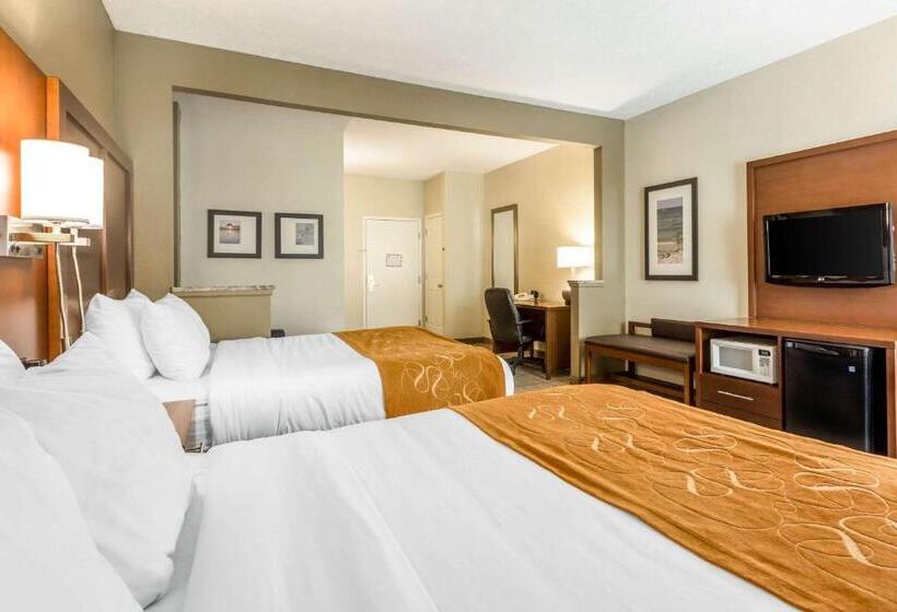 ホテル Comfort Suites At The University