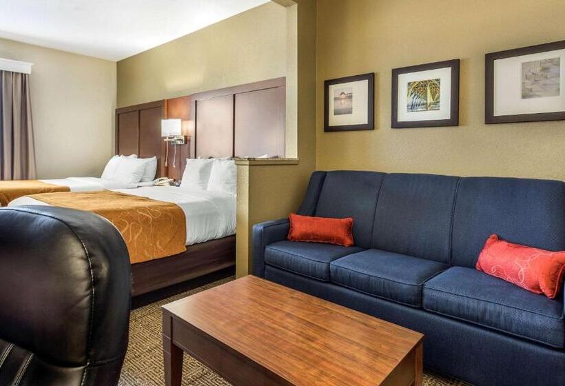 ホテル Comfort Suites At The University