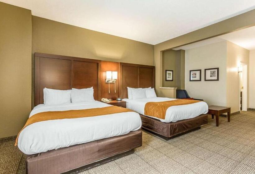 ホテル Comfort Suites At The University