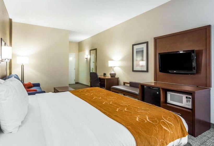 ホテル Comfort Suites At The University