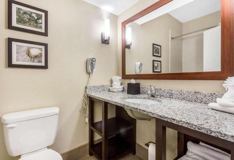 ホテル Comfort Suites At The University