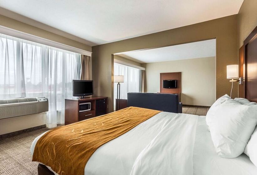 ホテル Comfort Suites At The University