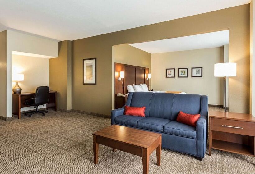 ホテル Comfort Suites At The University