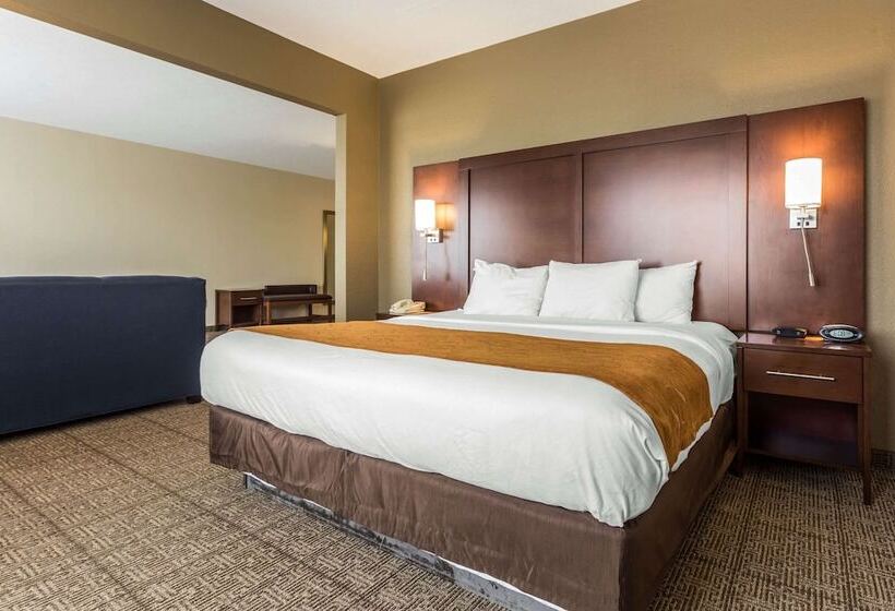 ホテル Comfort Suites At The University