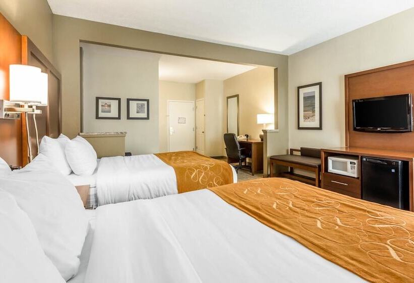 ホテル Comfort Suites At The University