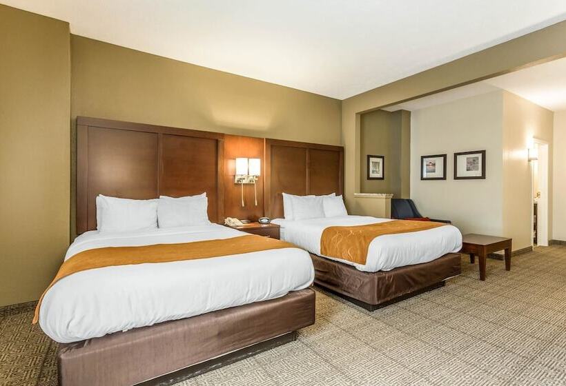 ホテル Comfort Suites At The University