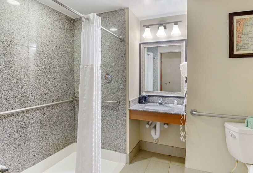 בית מלון כפרי Comfort Suites At Virginia Center Commons