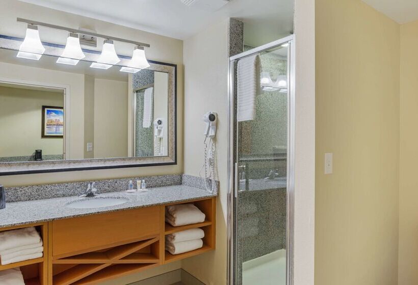 בית מלון כפרי Comfort Suites At Virginia Center Commons