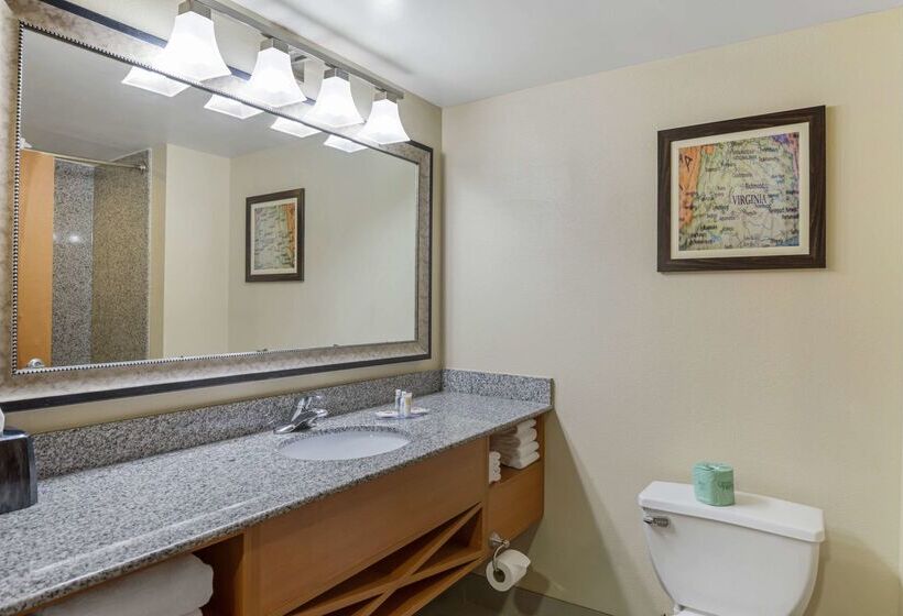 בית מלון כפרי Comfort Suites At Virginia Center Commons