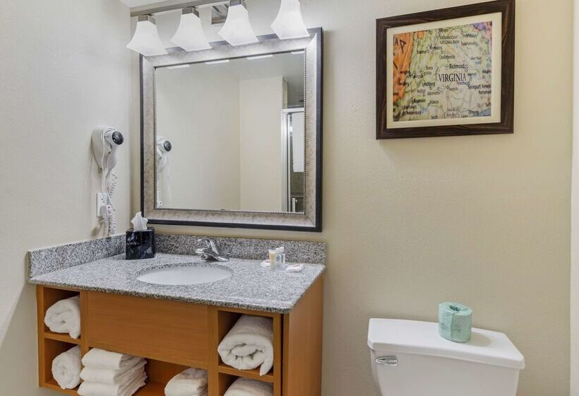 בית מלון כפרי Comfort Suites At Virginia Center Commons