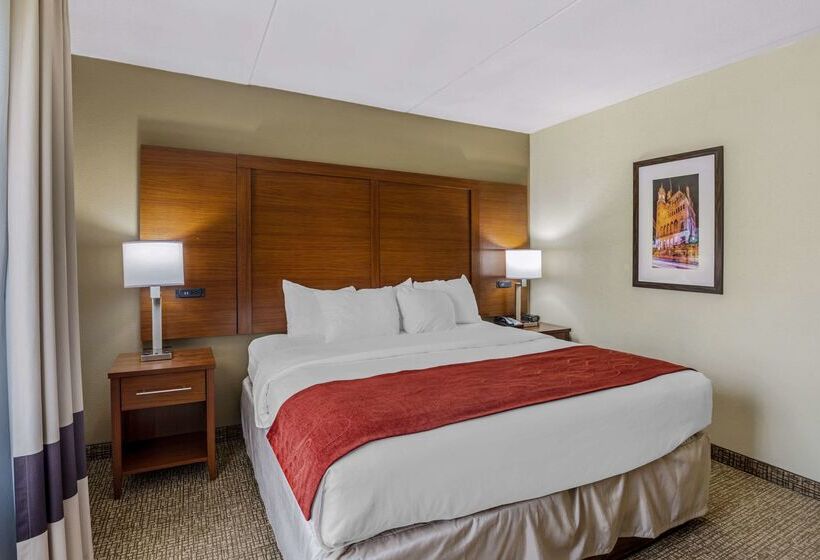 בית מלון כפרי Comfort Suites At Virginia Center Commons
