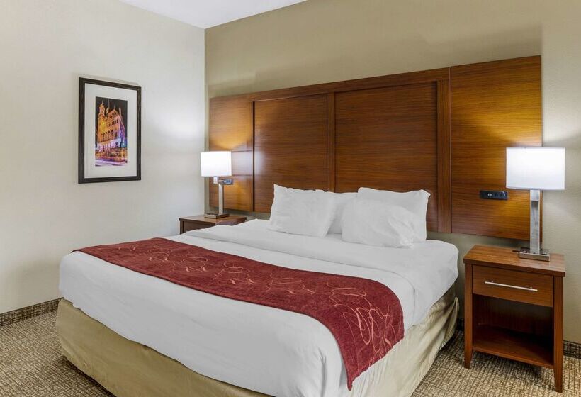 בית מלון כפרי Comfort Suites At Virginia Center Commons