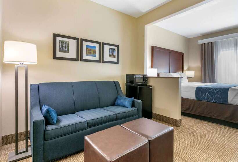 فندق Comfort Suites