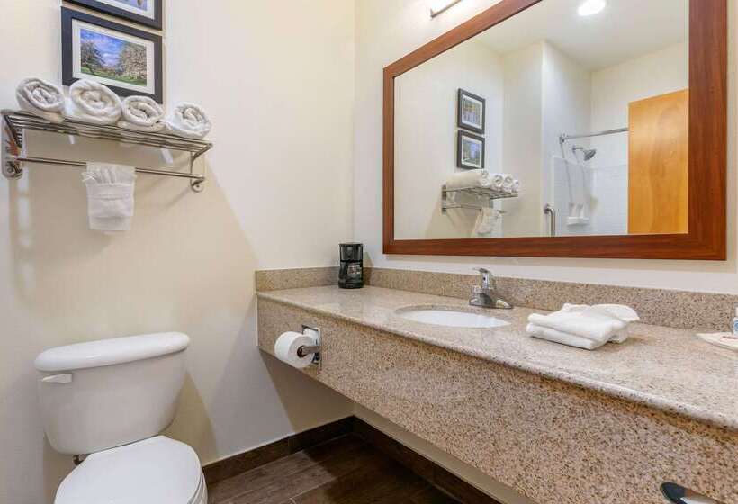 فندق Comfort Suites