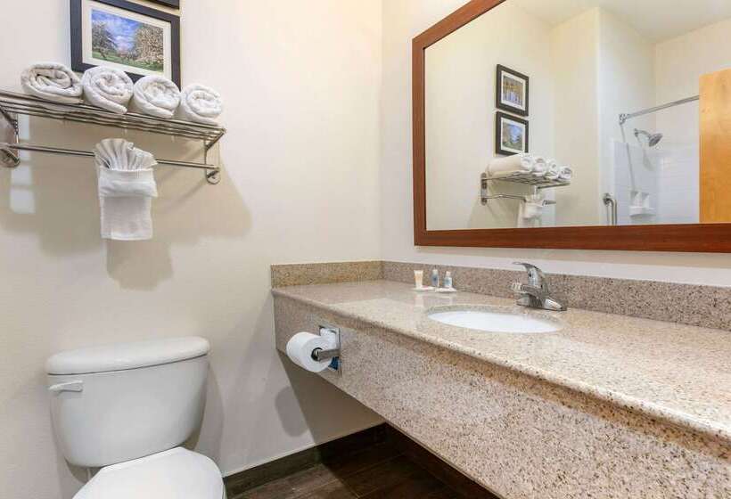 فندق Comfort Suites