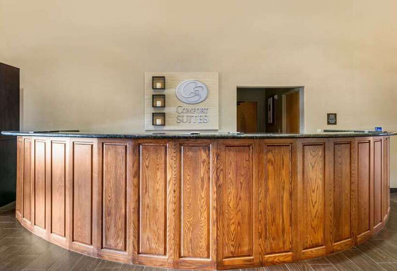 فندق Comfort Suites
