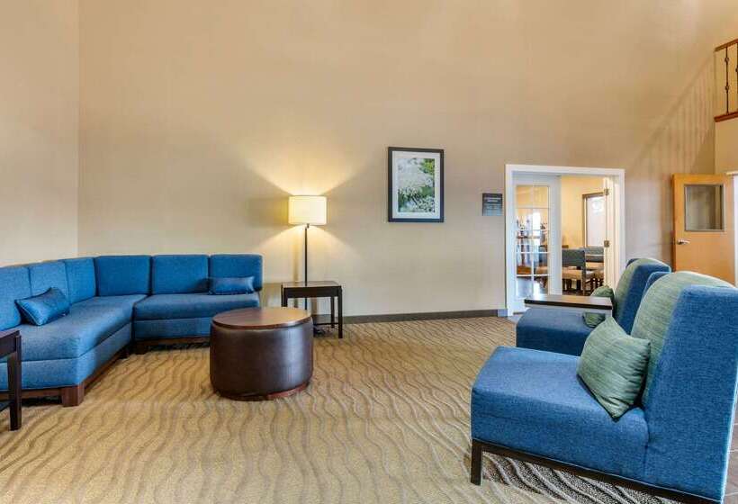 فندق Comfort Suites