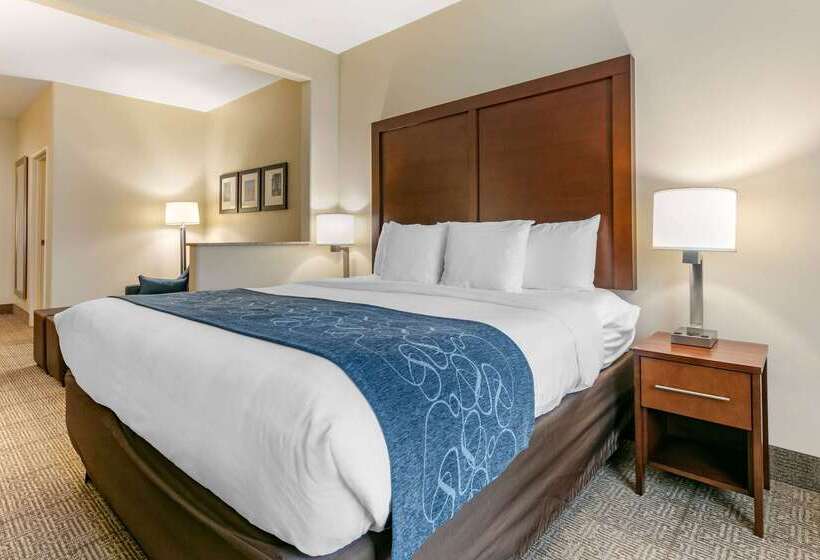 فندق Comfort Suites