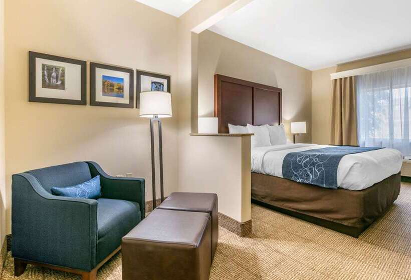 فندق Comfort Suites