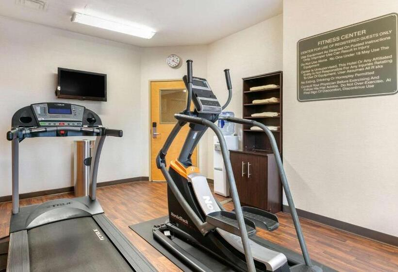 فندق Comfort Suites