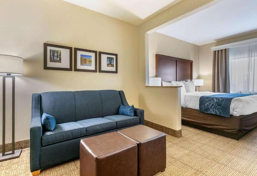 فندق Comfort Suites